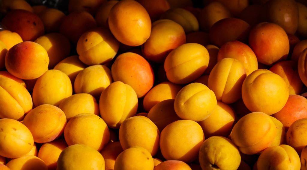 Apricot mash